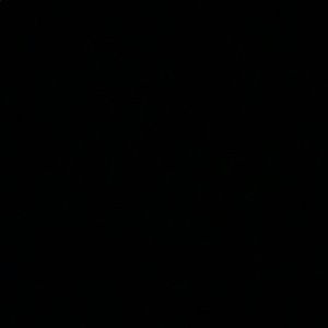 Meet your Posher, Kavya